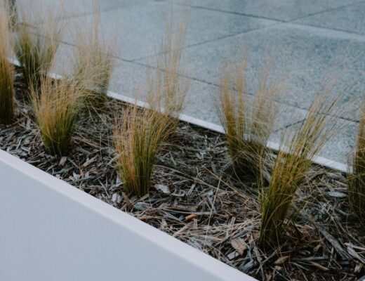 Moderne rechthoekige stalen plantenbakken in een strakke tuin met kleurrijke bloemen en planten.